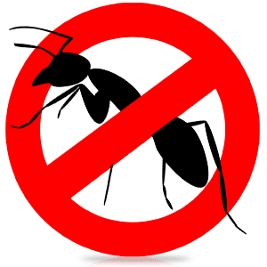 Борьба с насекомыми