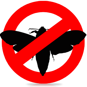 Борьба с насекомыми