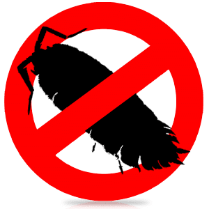 Борьба с насекомыми