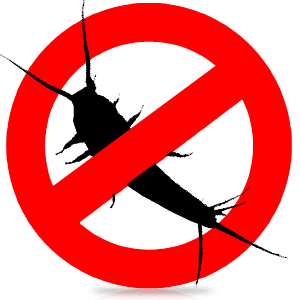 Борьба с насекомыми