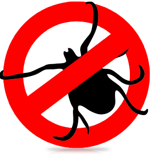 Борьба с насекомыми