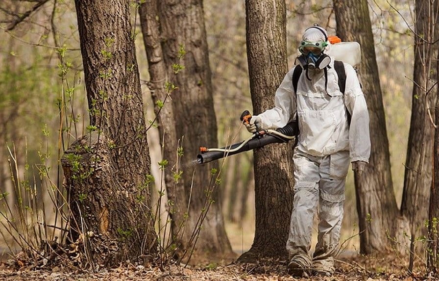 Дезинфекция и борьба с насекомыми в РБ.